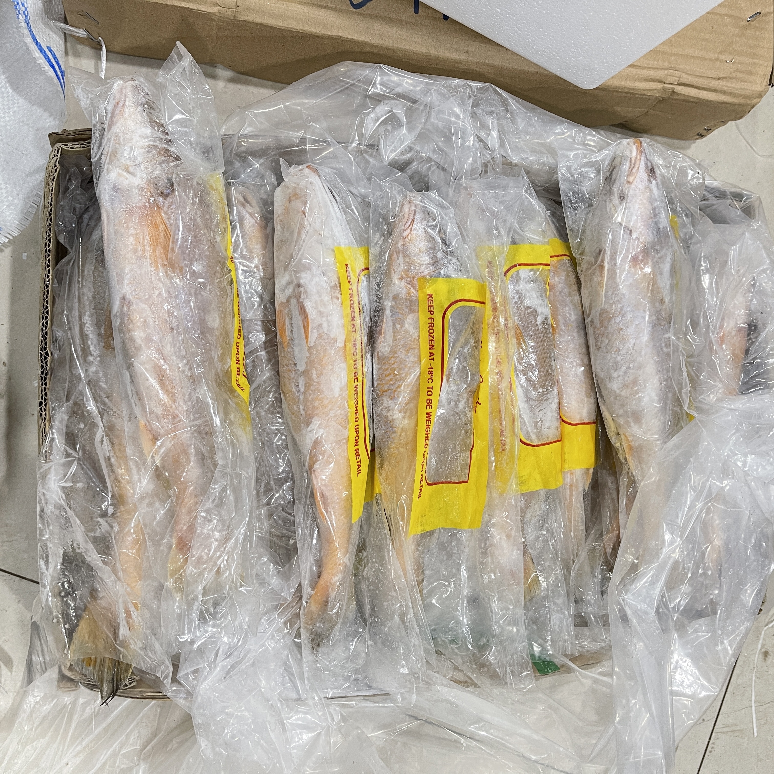 长鳍黄鱼4条(每条一斤左右)中通快递