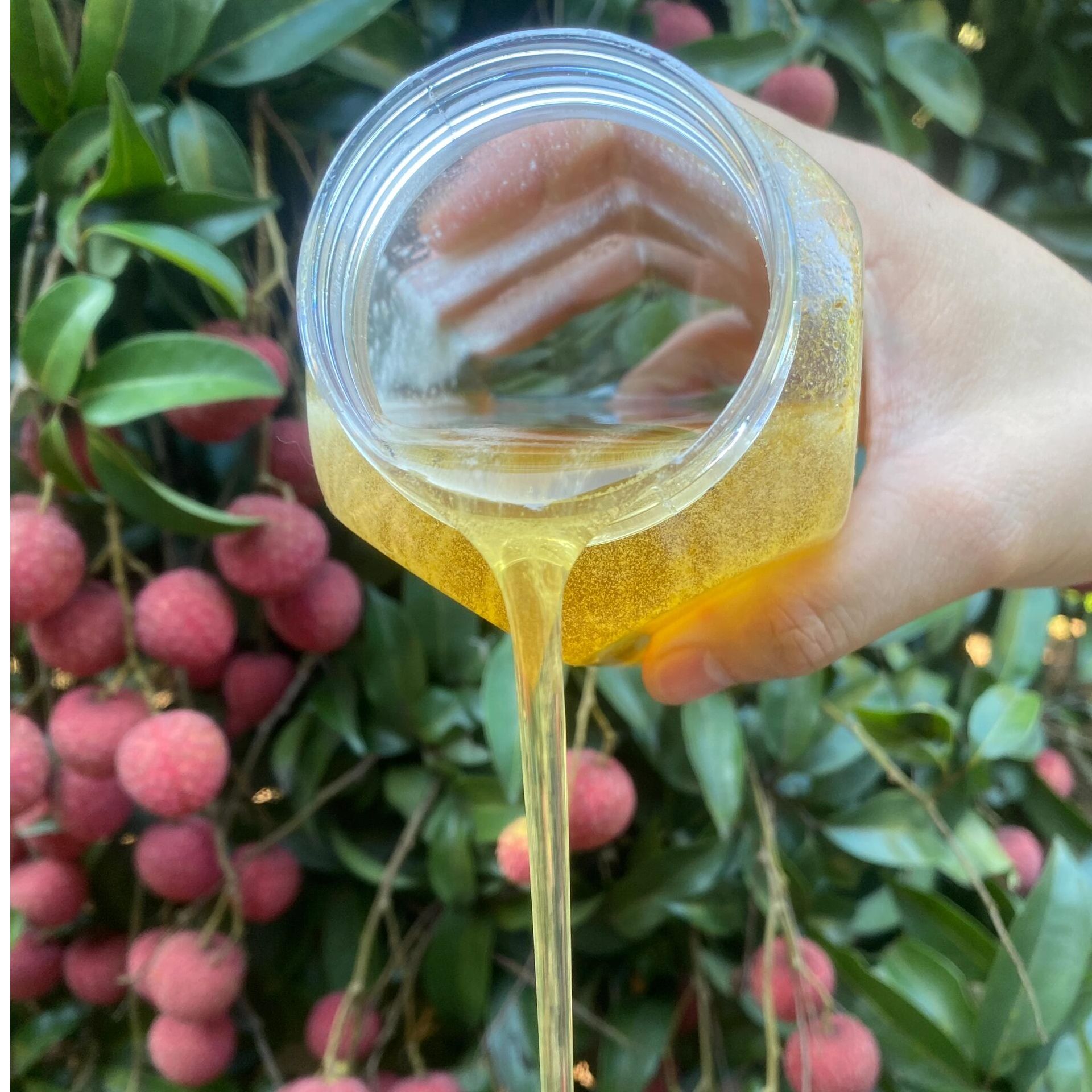 蜂蜜桂味春蜜初级农产品800g一瓶包邮