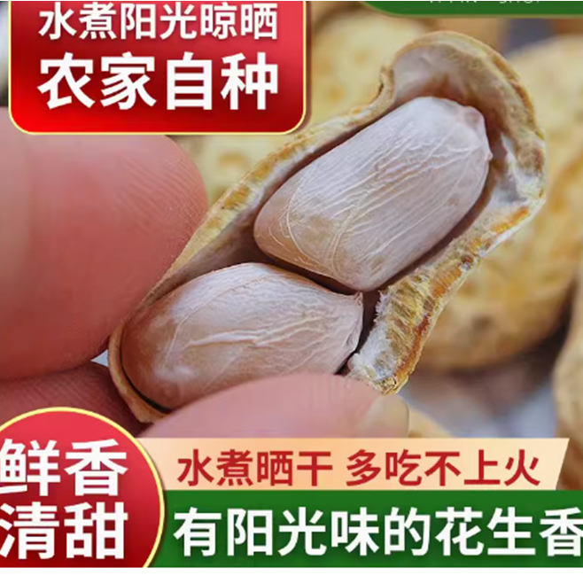 水煮花生晒干原味农家盐咸干水煮花生晒干花生湖南耒阳