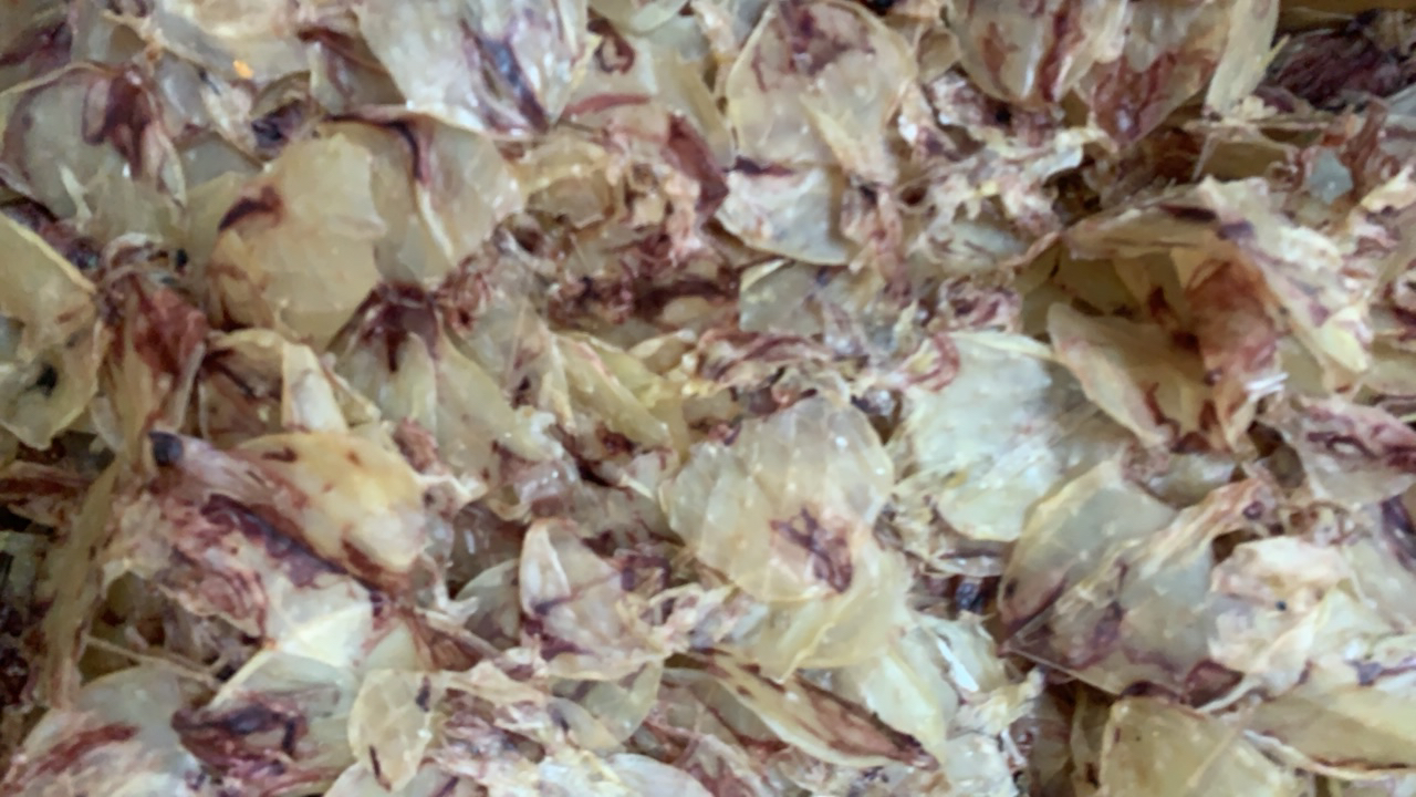 甲子本港鱿鱼粗片500g