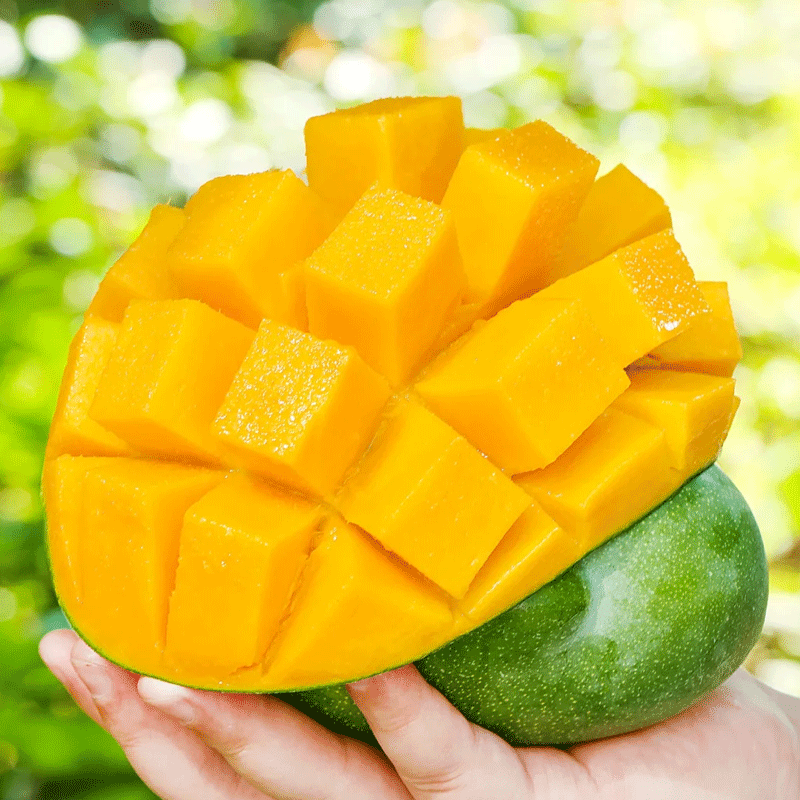 【昆明仓】四川攀枝花特大芒果青皮新鲜应季水果整箱包邮产地直销