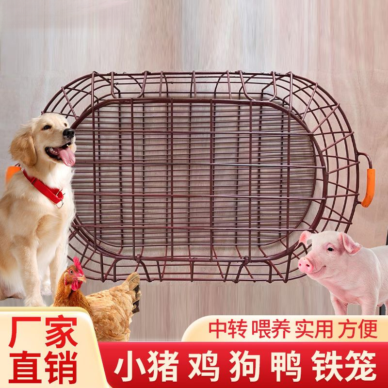 抓猪笼子装猪仔笼卖猪笼狗笼鸡笼鸭笼运输中转笼子畜牧耐用铁猪笼