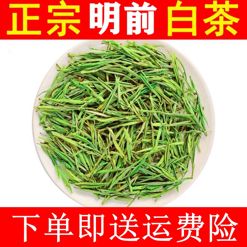 明前白茶2025年新茶袋装高山绿茶嫩芽茶浙江浓香型白茶正宗好茶