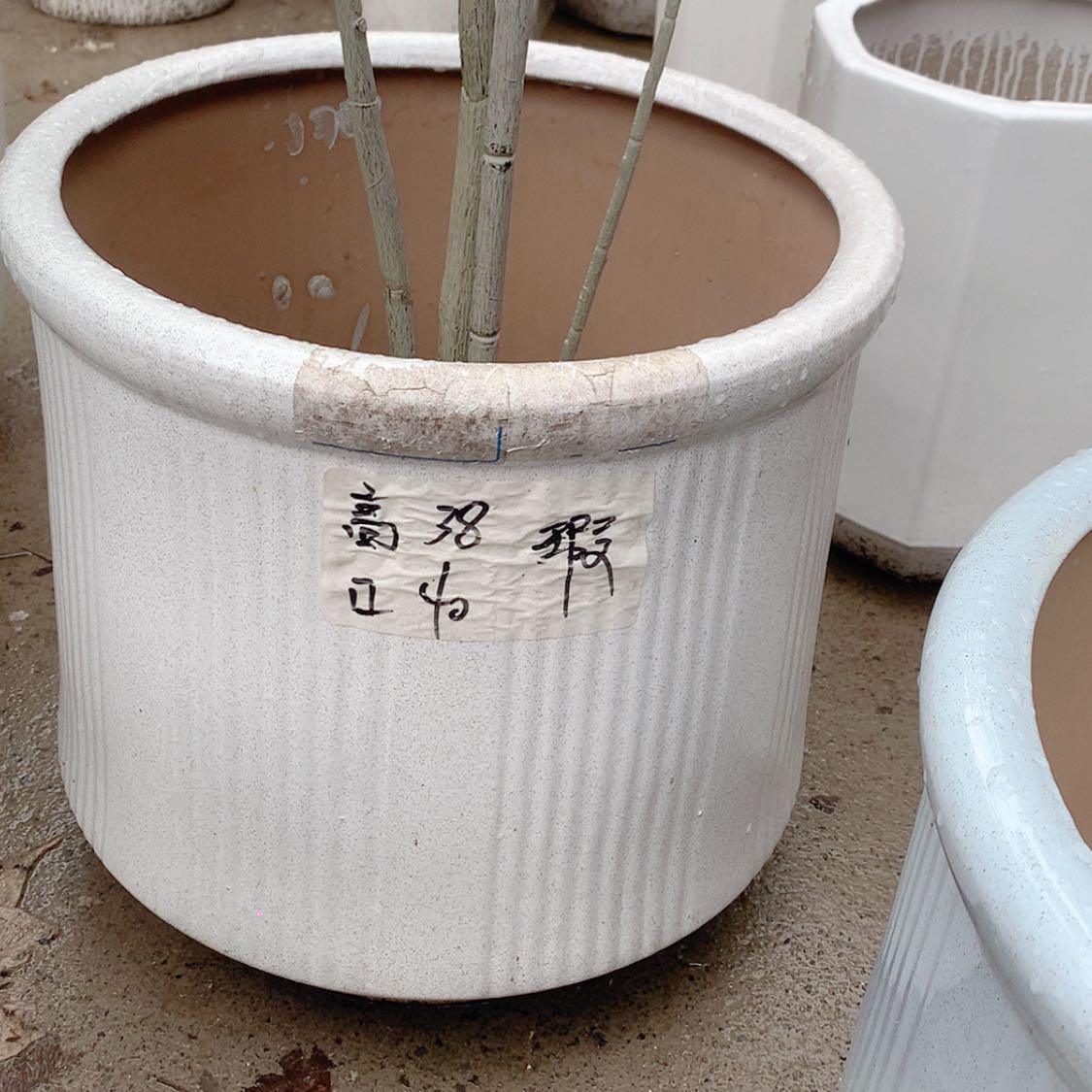 【闪购商品】红陶20CM（含）-50CM（不含）