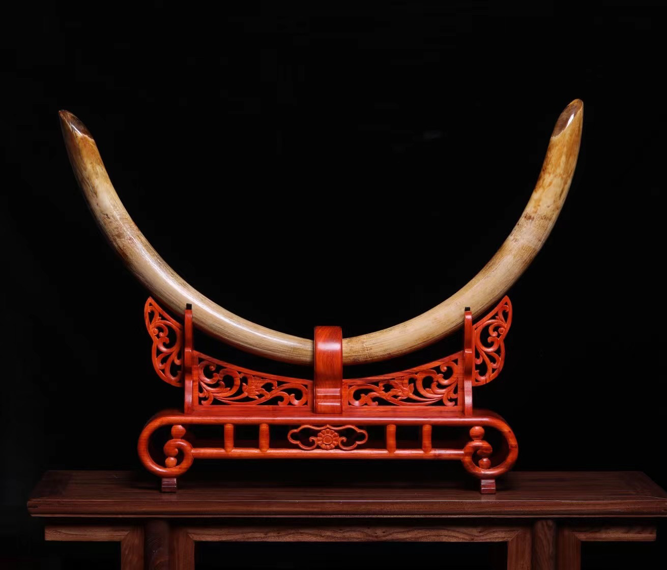 猛犸牙—天然原牙，无修复，对摆