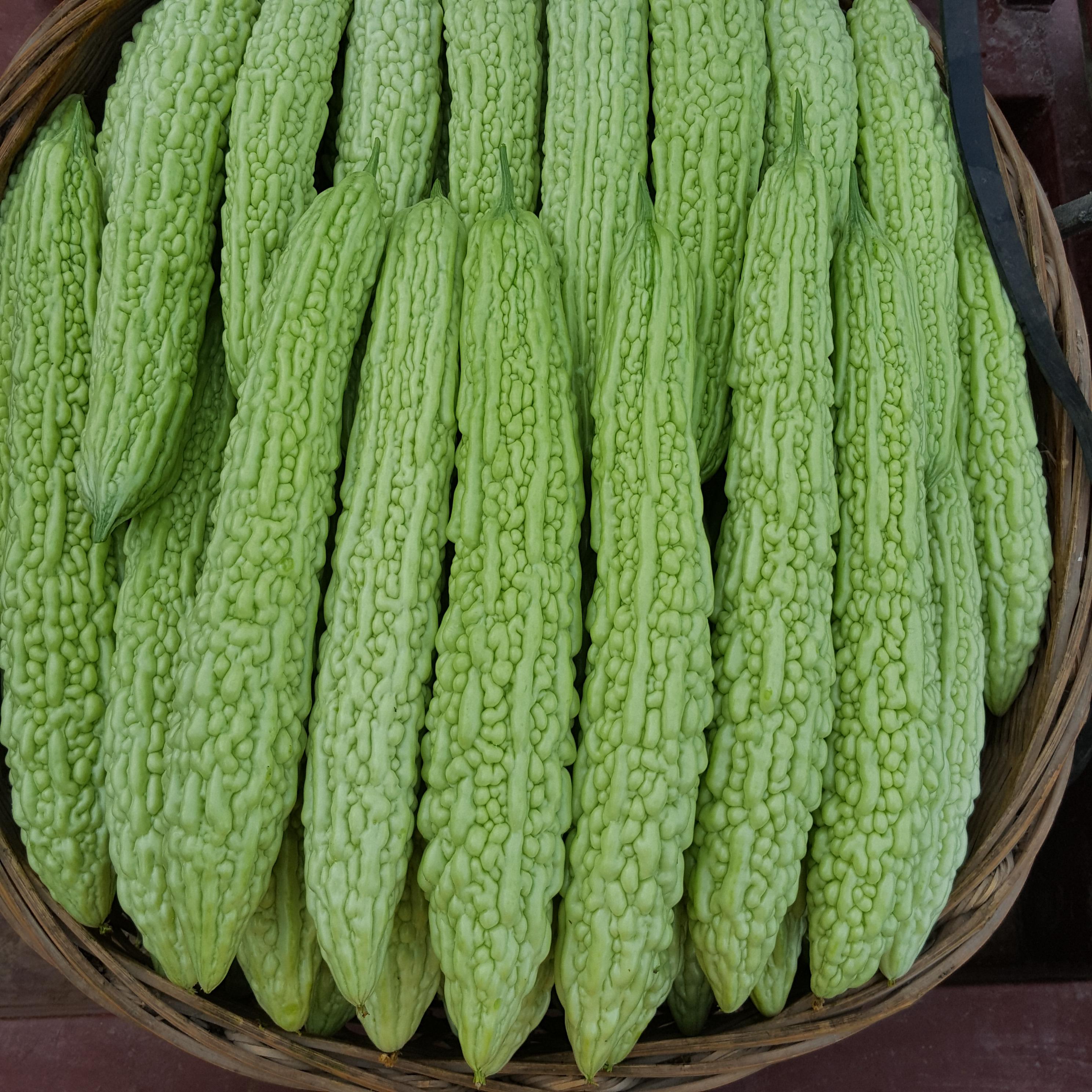 【凯涛甄选】天津本地苦瓜3斤京东或顺丰包邮