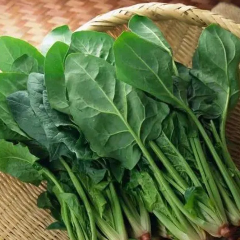 【凯涛甄选】天津本地新鲜菠菜  现割现发 京东或顺丰包邮