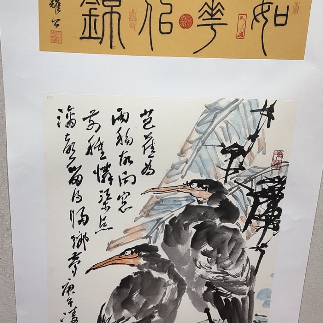 【闪购商品】书法我
