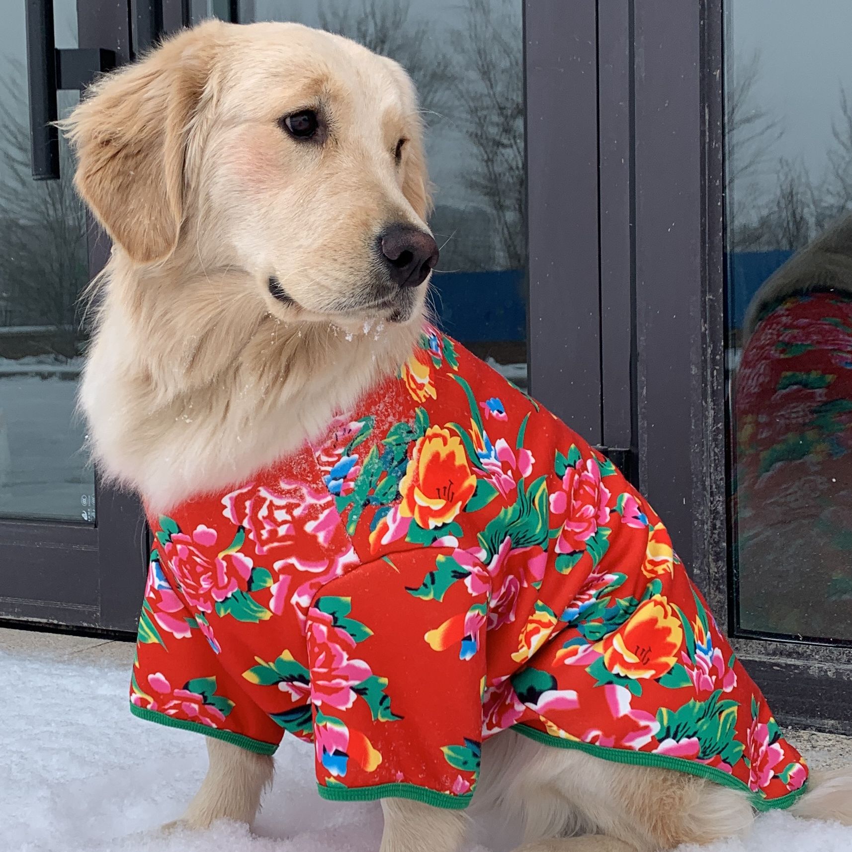 宠物衣服长袖猫咪东北花棉袄喜庆过年保暖冬季防风防掉毛小中大型