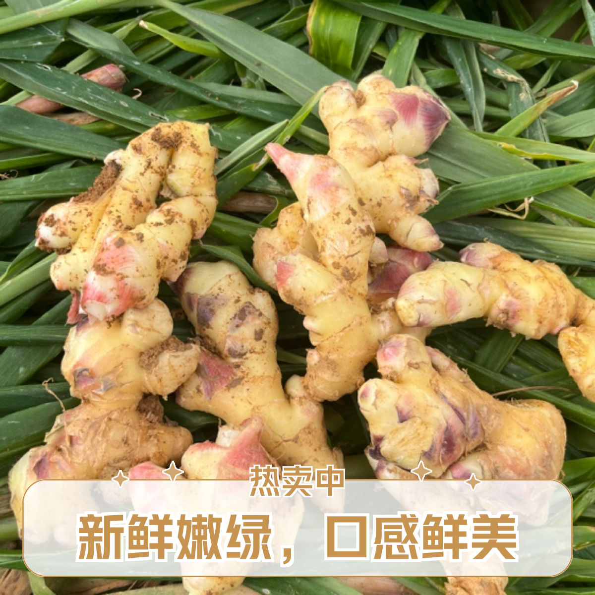 云南小黄姜 小块姜 碎姜 5斤 （介意勿拍）