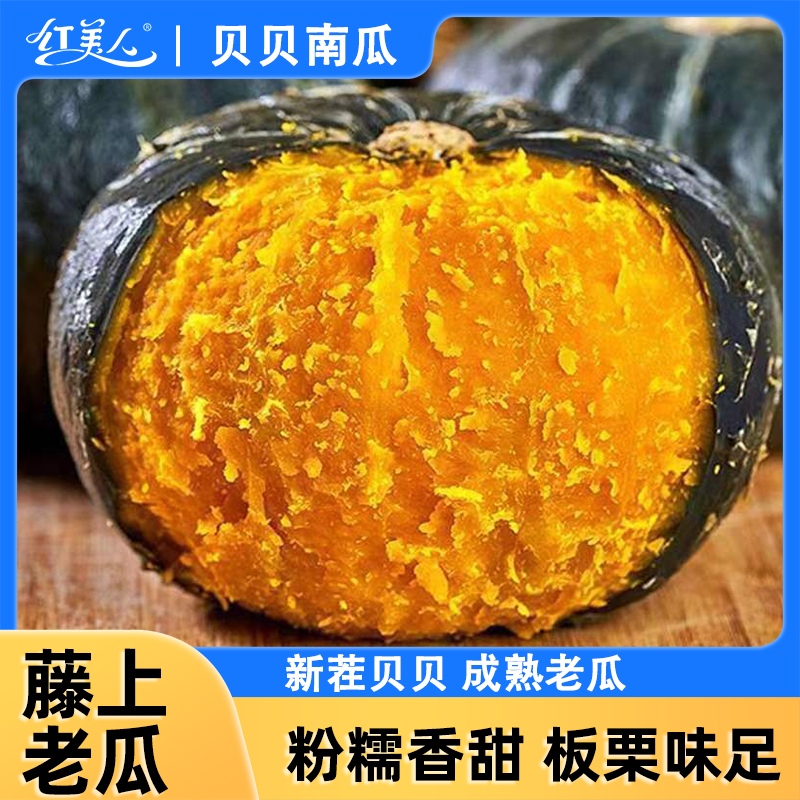 青钻粉糯南瓜 贝贝南瓜中的优质品种 板栗味鲜蔬菜宝宝辅食