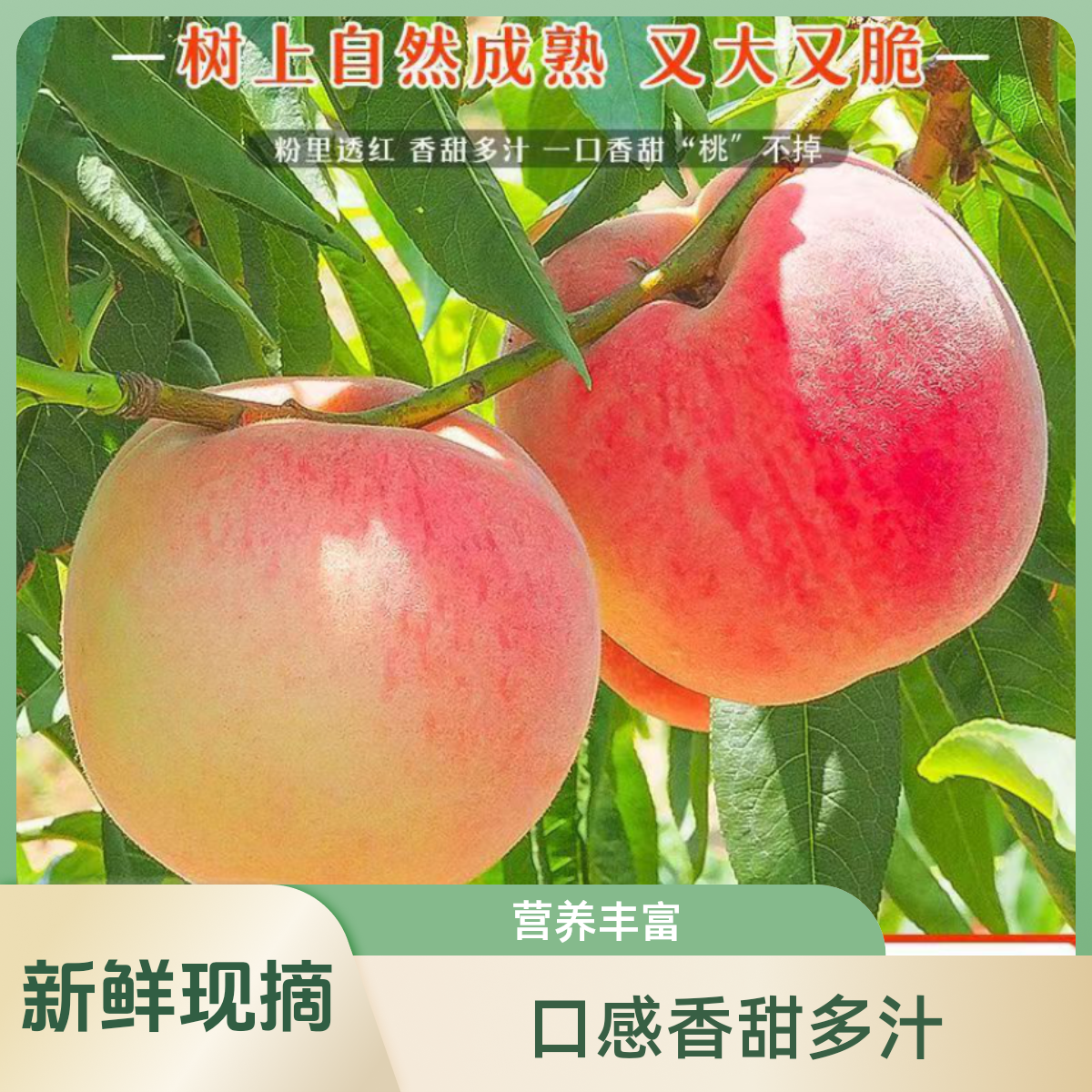 甜蜜新鲜现摘当季应季水果重量脆甜桃甜蜜整箱香甜鲜嫩包赔多汁