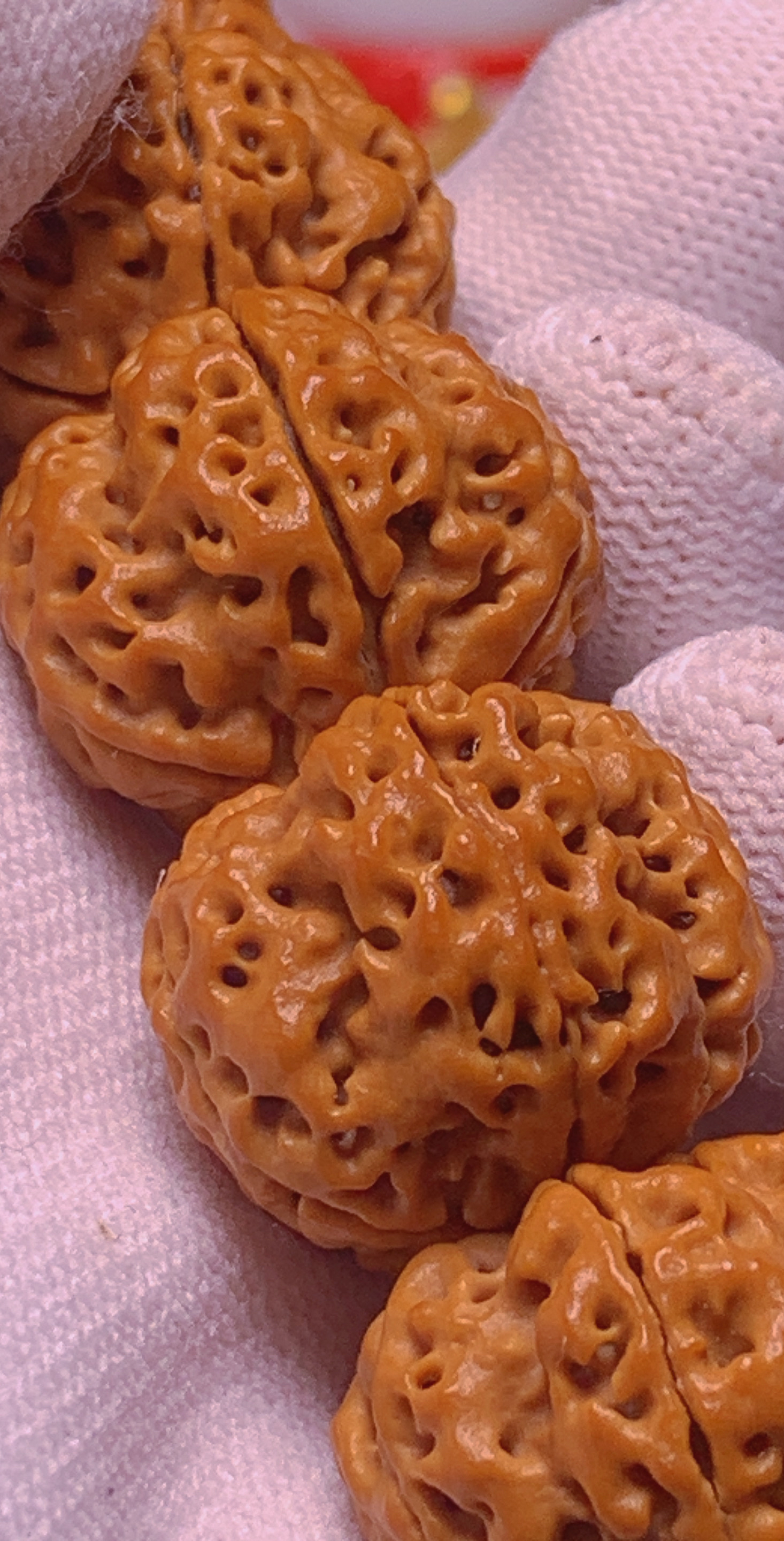 粗筋满肉古龙大梅花专属链接