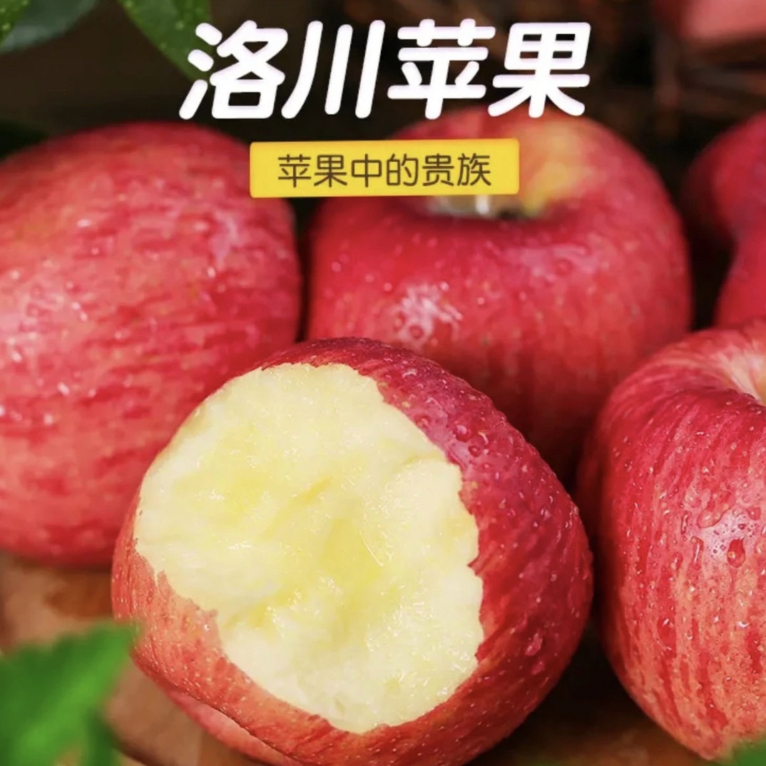 新鲜天然现摘正宗陕西洛川红富士苹果红富士包邮脆甜自然水果多汁