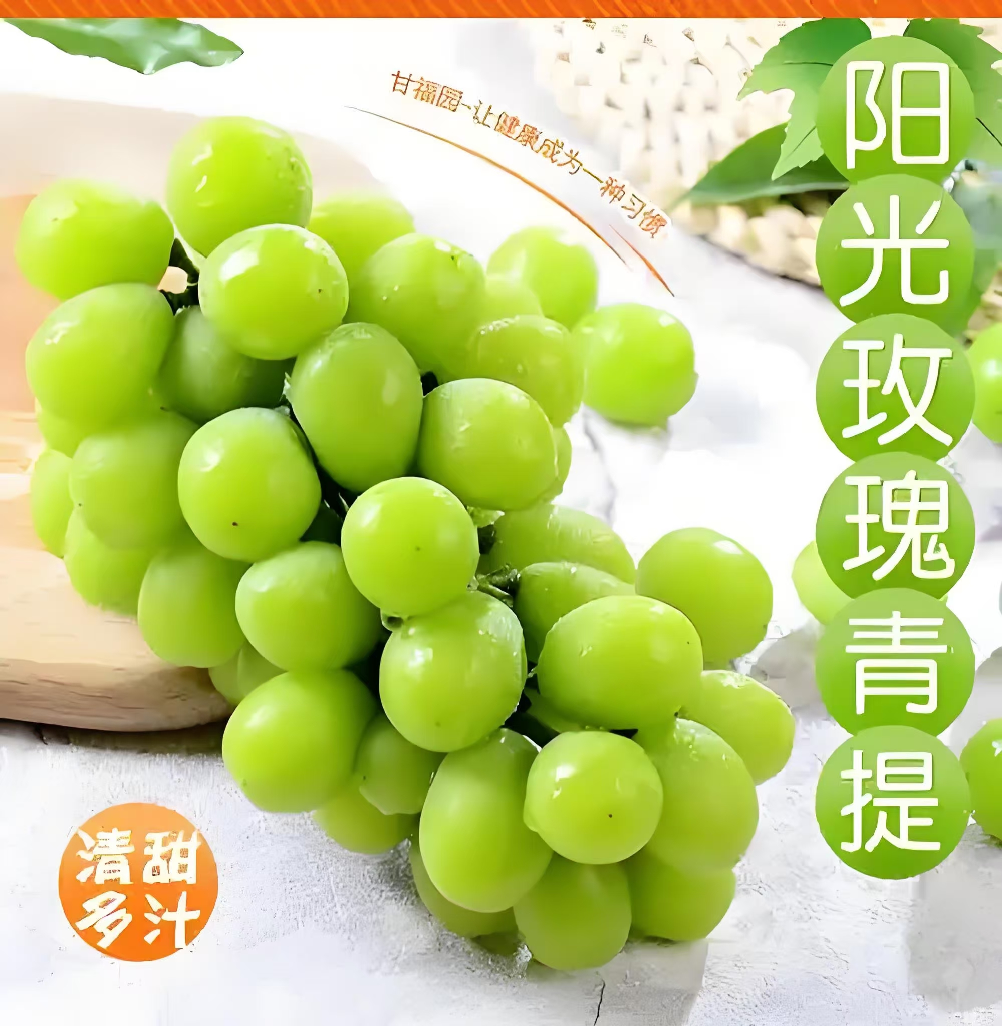 【阳光玫瑰】2024年现摘