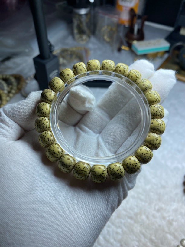 原生态星月菩提老型10.5✖️9.5月朗星稀