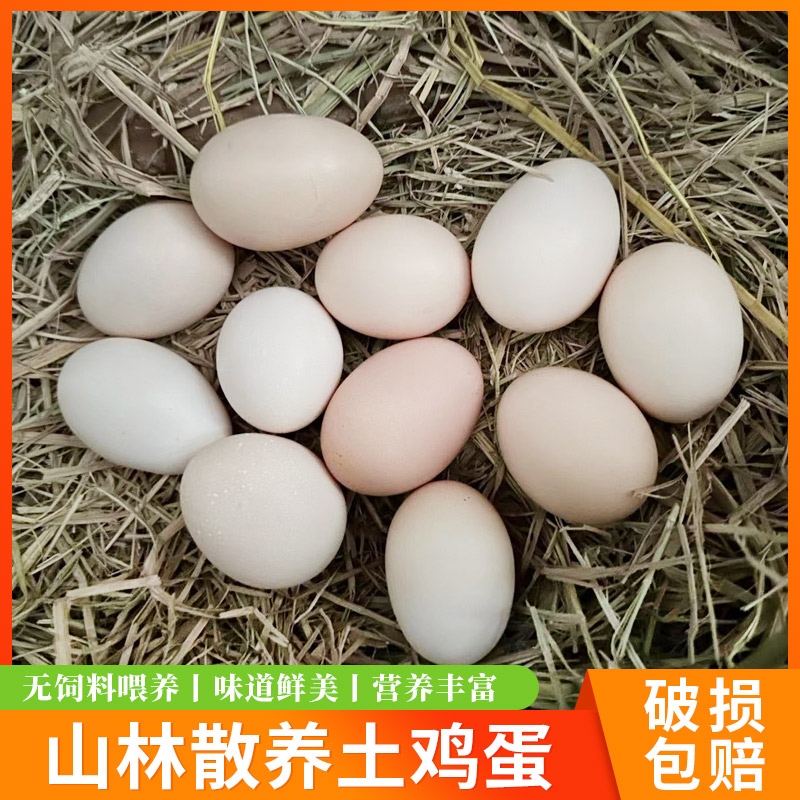 高山纯粮散养农家土鸡蛋新鲜营养零抗正宗土鸡蛋（嫌小慎拍）