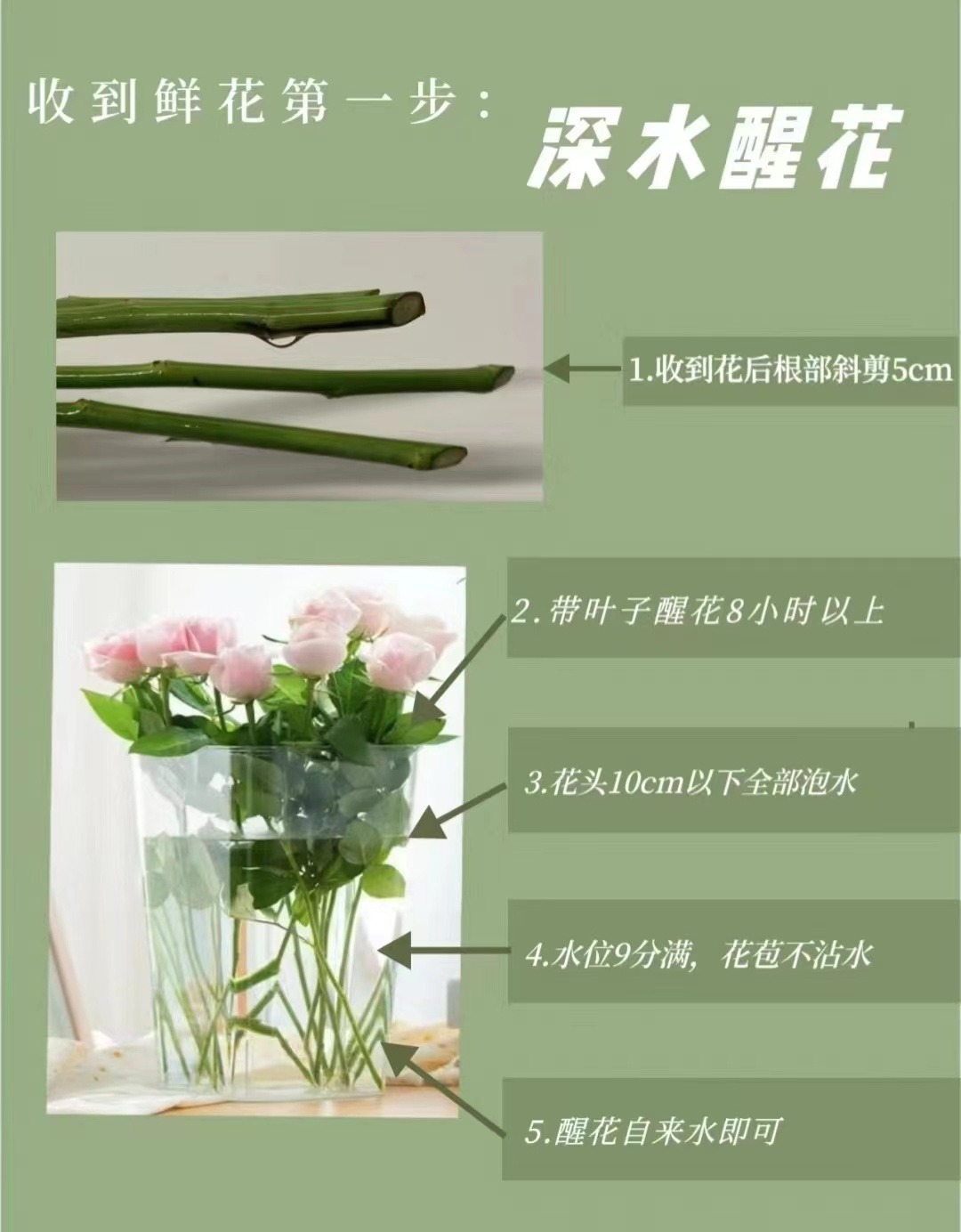 【】花亿家精选套餐  花材包邮发货  10%运损不售后