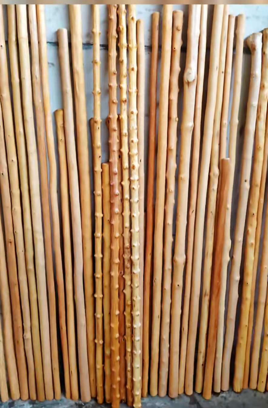 秦岭高山武术棍鞭杆