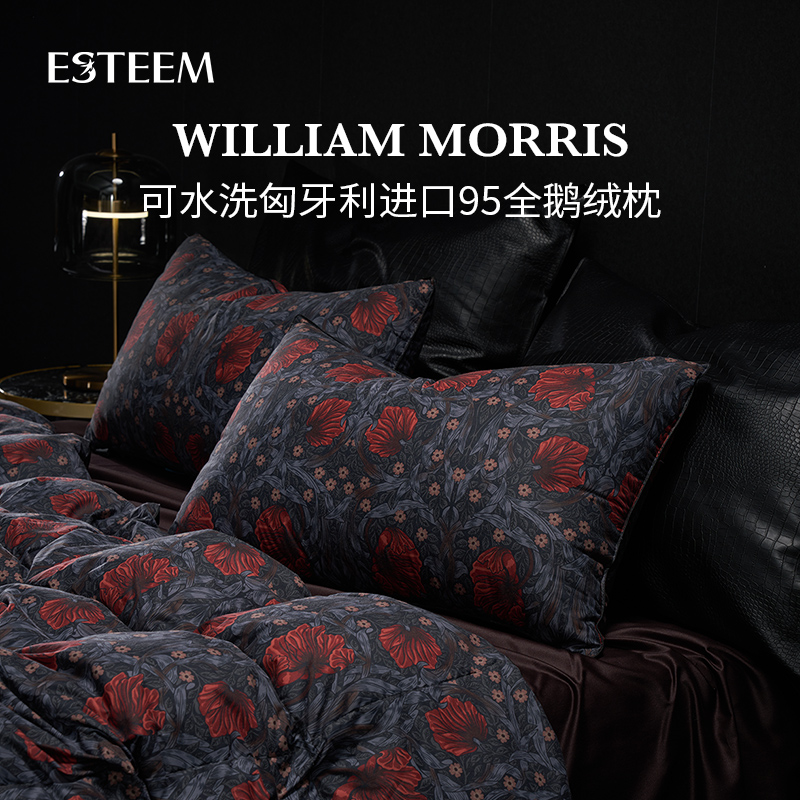 ESTEEM/宜庭莫里斯传奇可水洗鹅绒枕