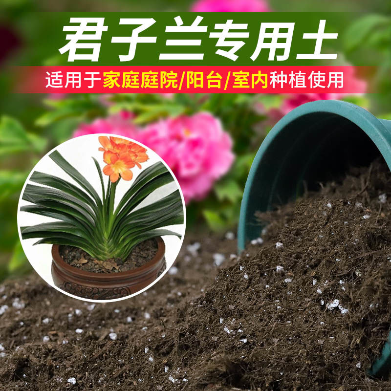 君子兰专用营养土君子兰盆栽土阳台种花养花土椰糠土花卉种植土壤