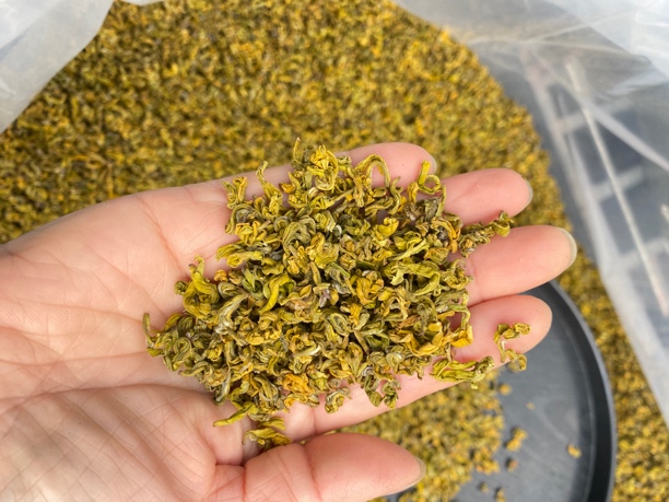 2025年手工黄金芽浓香耐泡豆香味