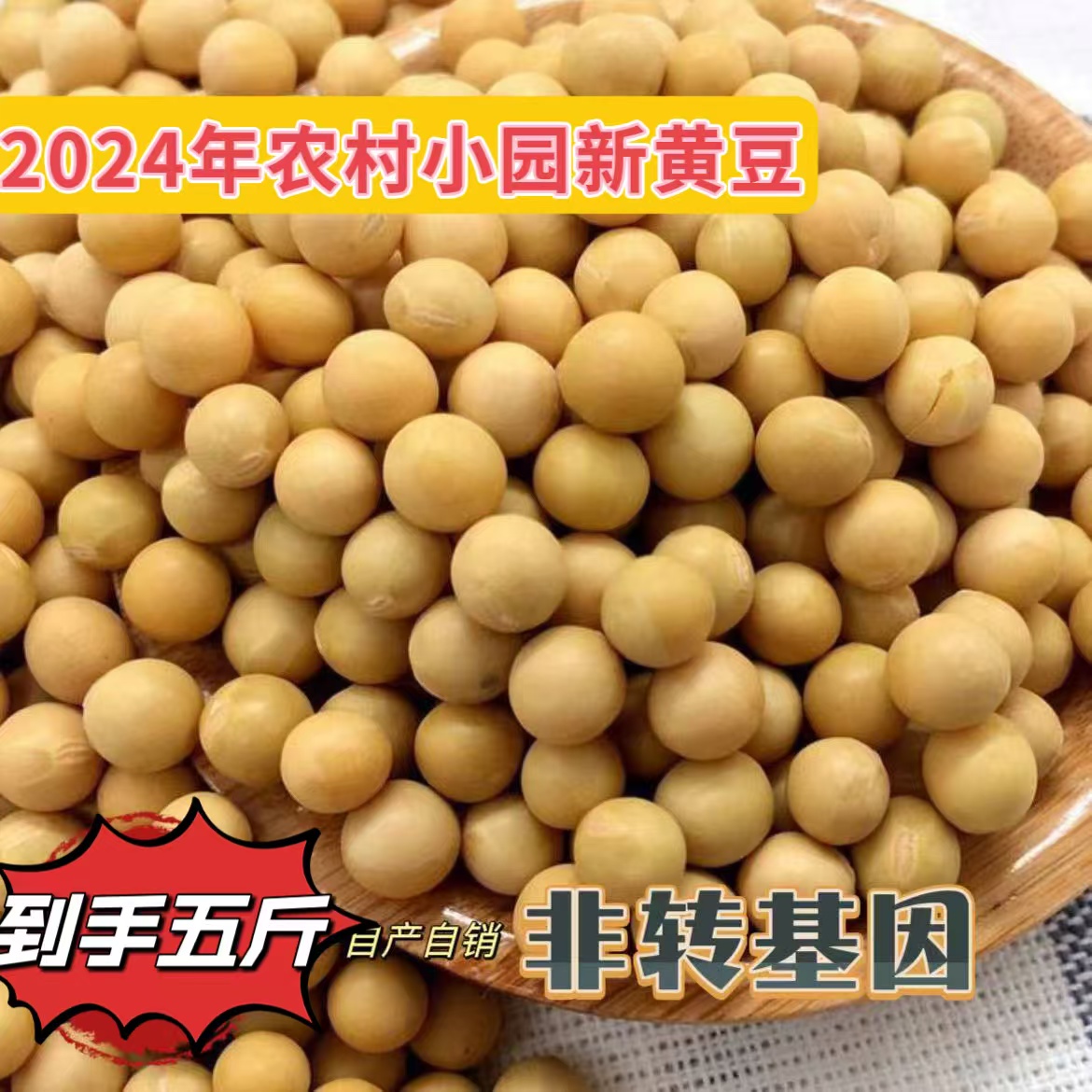 2025年五常新黄豆