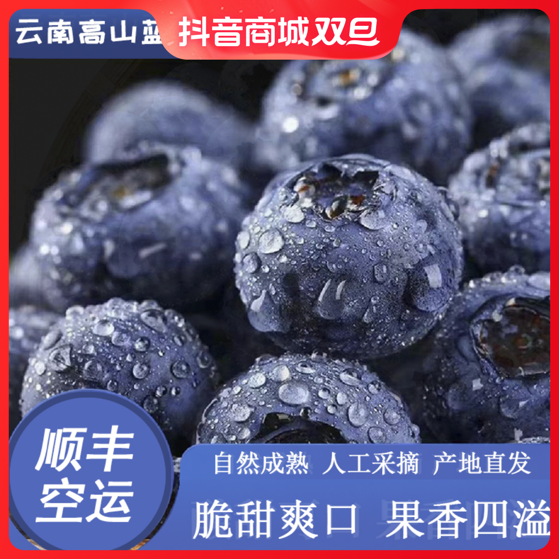 【顺丰航空】精选云南新鲜脆甜蓝莓当天采摘独立盒装营养脆甜又多汁