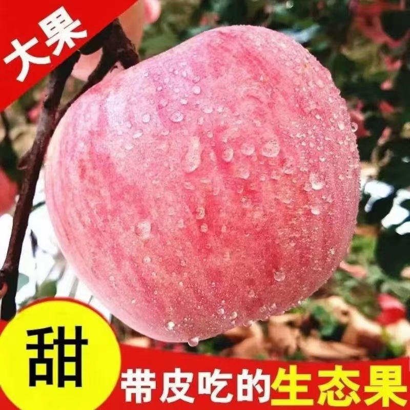 红富士苹果红又甜