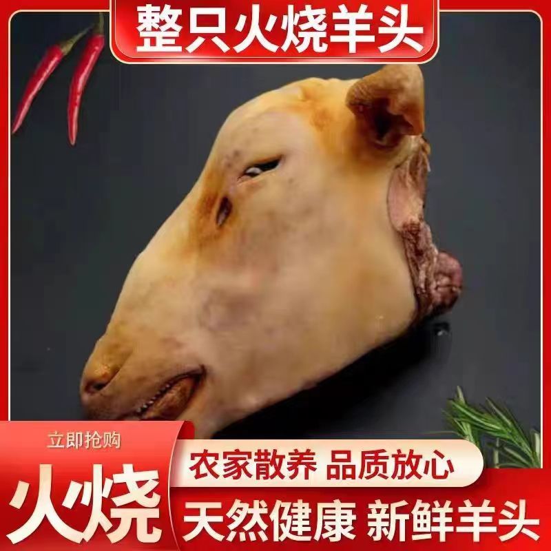 新鲜火烧毛羊头 羊眼睛羊舌头羊脑花 送料包