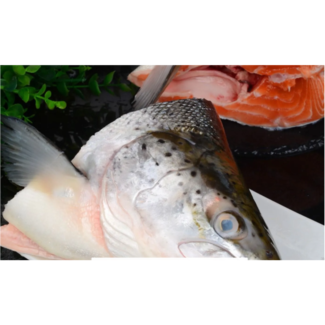挪威三文鱼 鱼头 鱼排 鱼皮 鱼边 组合
