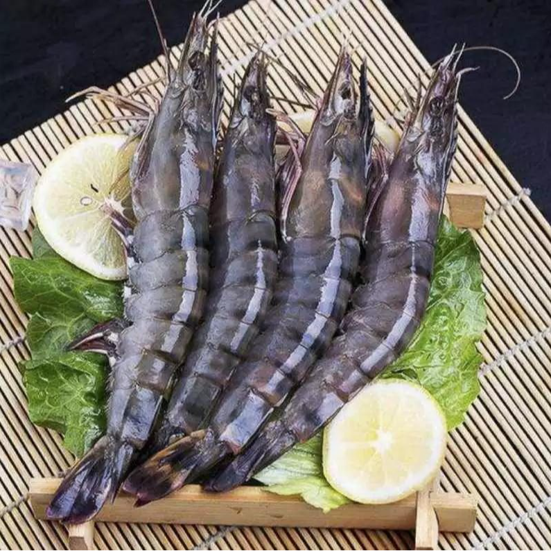 中号 鲜活  黑虎虾3斤 保鲜不保活 大小不匀