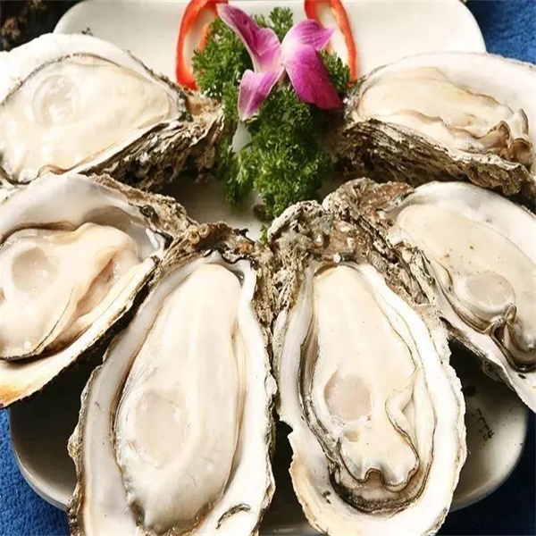 3+生蚝 5斤包邮 共14只左右