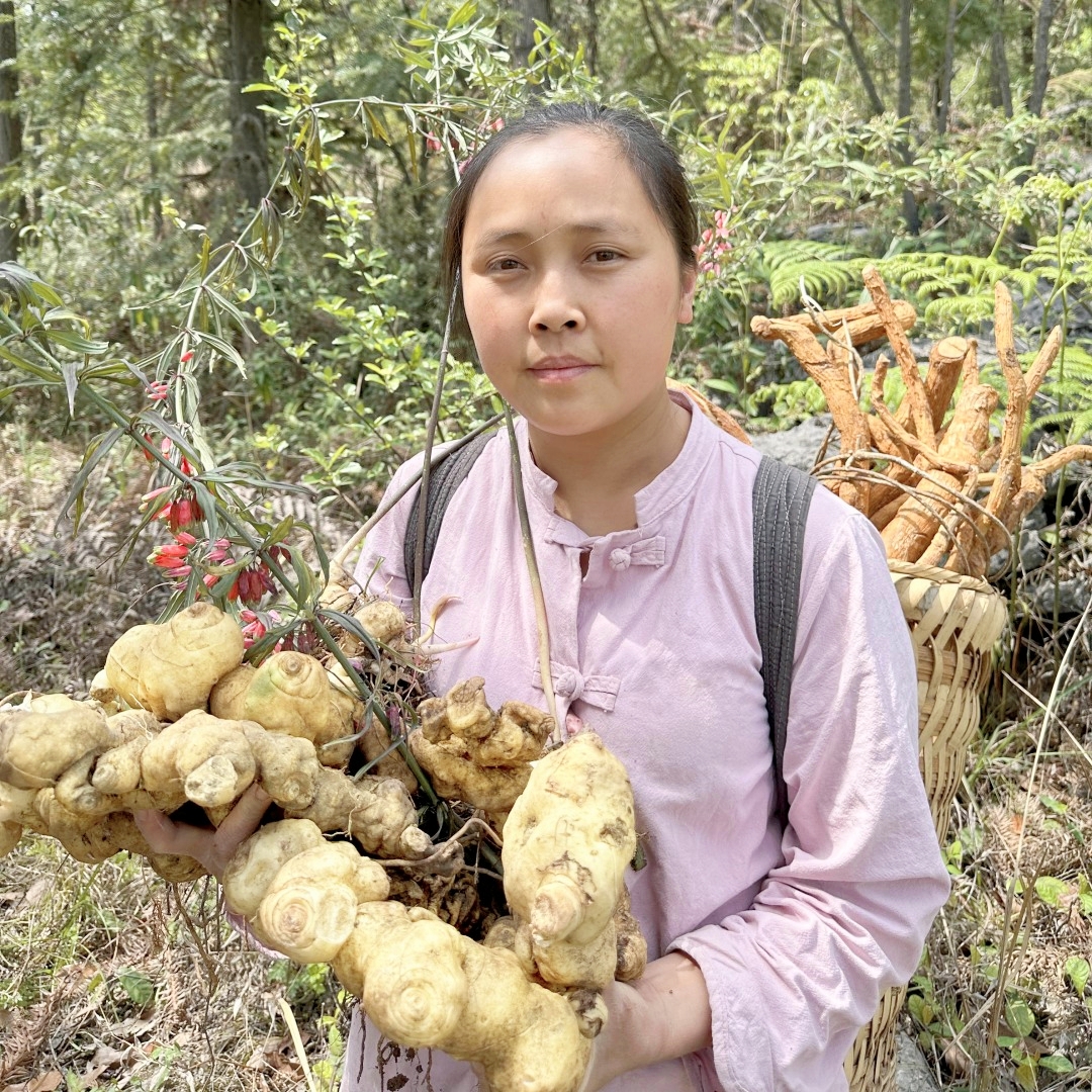 【黄精】贵州山货 野生黄精干片 非种植 老虎姜 无硫无染自然晒干