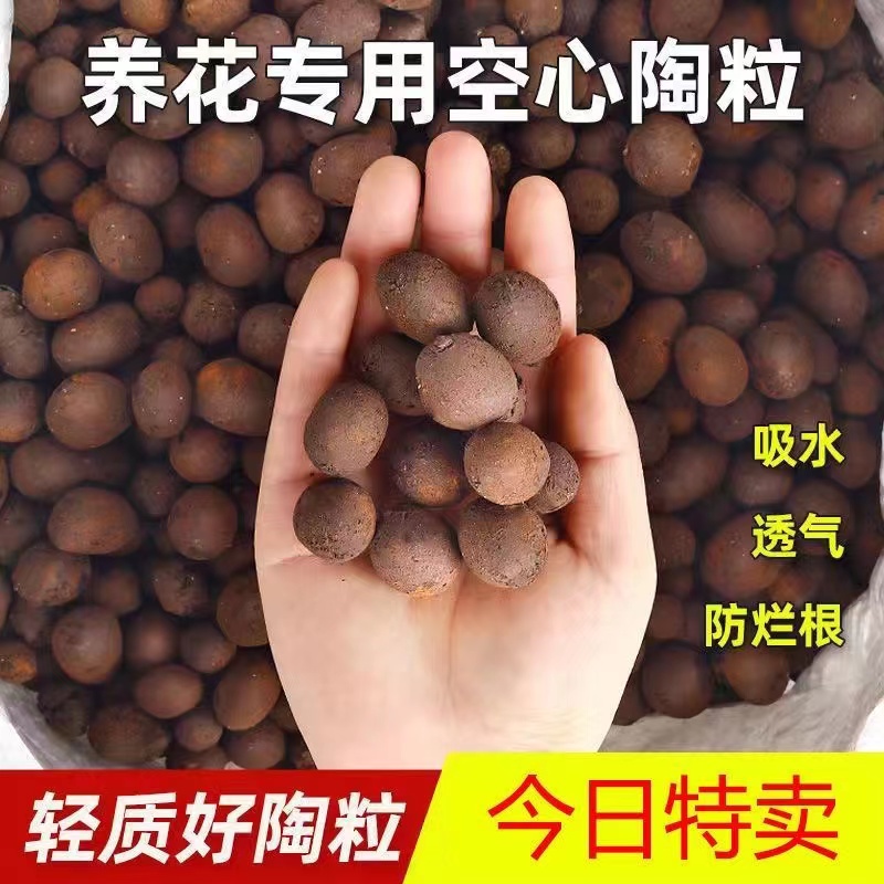 陶粒垫底空心陶粒多肉颗粒土园艺陶土水培防烂根透气花盆垫底铺面