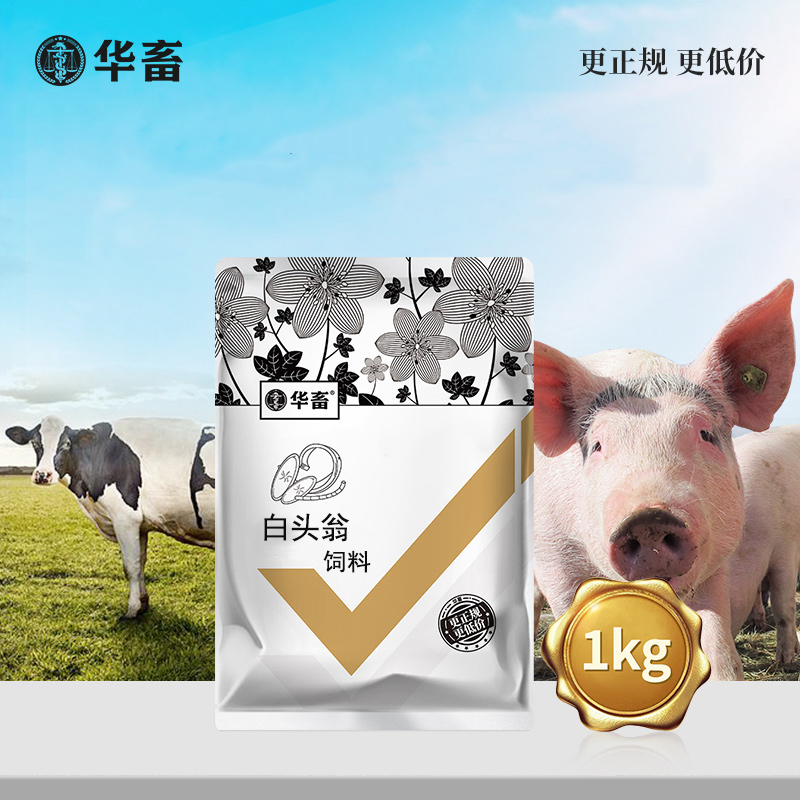 白头翁饲料猪牛羊猪鸡鸭鹅兽用饲料添加剂Z