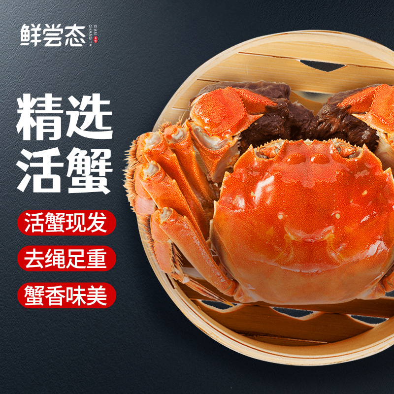 【江苏鲜活大闸蟹】3.3-3两拍8只送2只精品全母大闸蟹鲜活顺丰包邮
