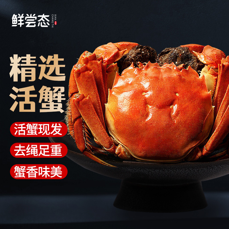 【江苏活蟹现发】2-1.7两拍6只送2只精品全母活蟹鲜活顺丰包邮