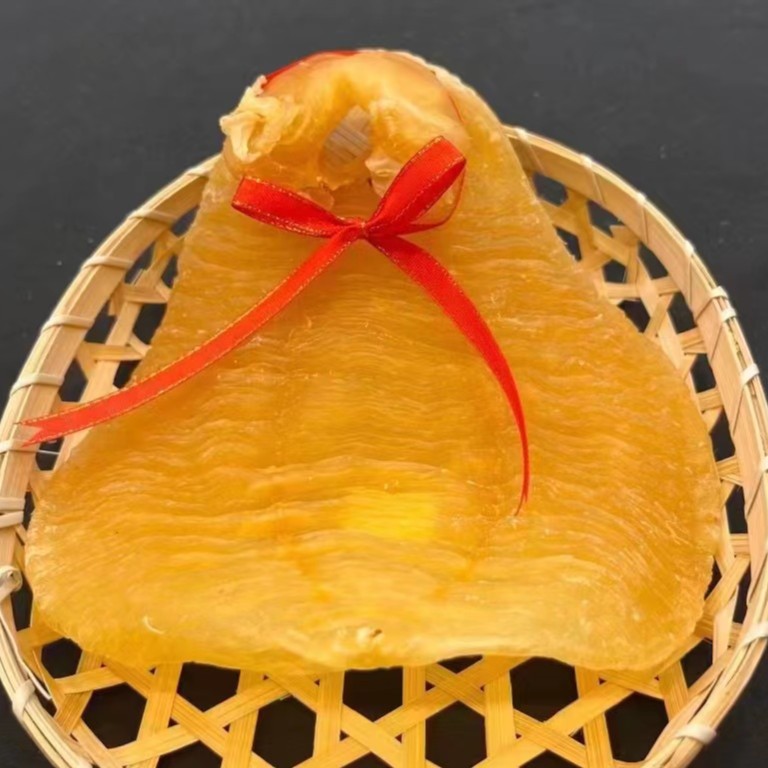 鱼胶临时链接活动