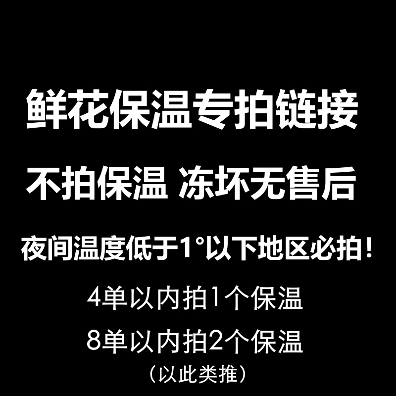 鲜花保温包装（夜间温度低于1度以下地区随鲜花拍下对应保温规格）