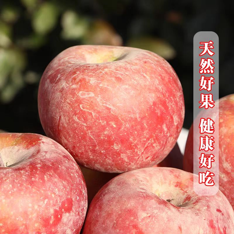 2024年新鲜当季水果正宗的红富士苹果个大甘甜冰糖心整箱礼盒包装