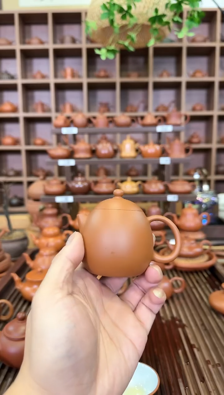 【闪购商品】紫砂茶壶鸡蛋黄 龙蛋壶 120CC左右