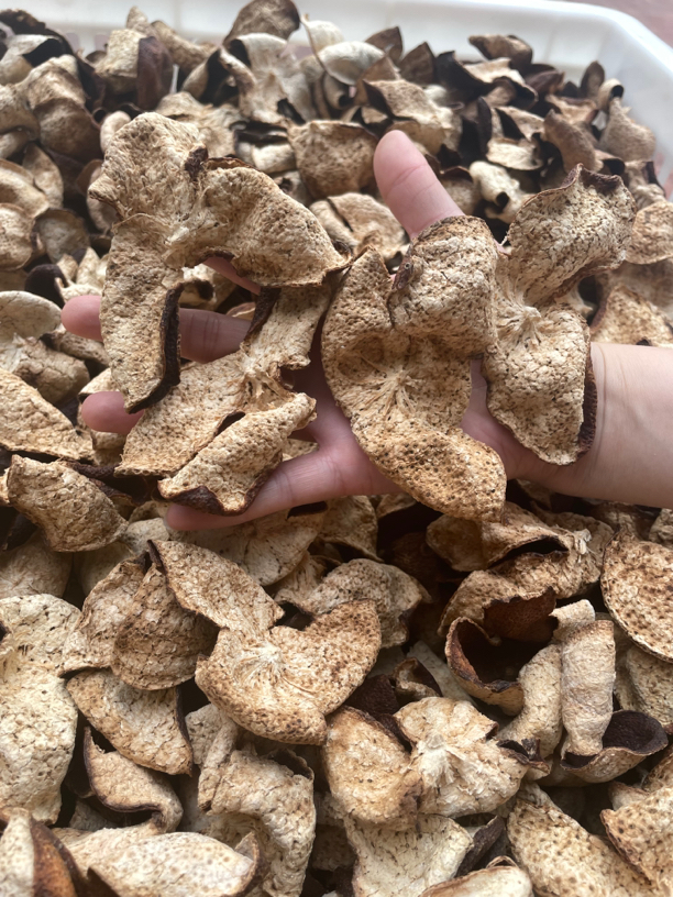 新会陈皮临时链接