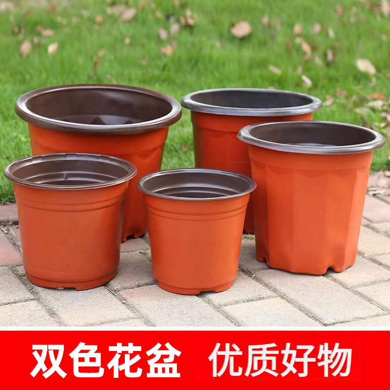 双色软塑育苗摔不坏花盆营养钵培育盆栽绿植多肉塑料园艺育苗盆
