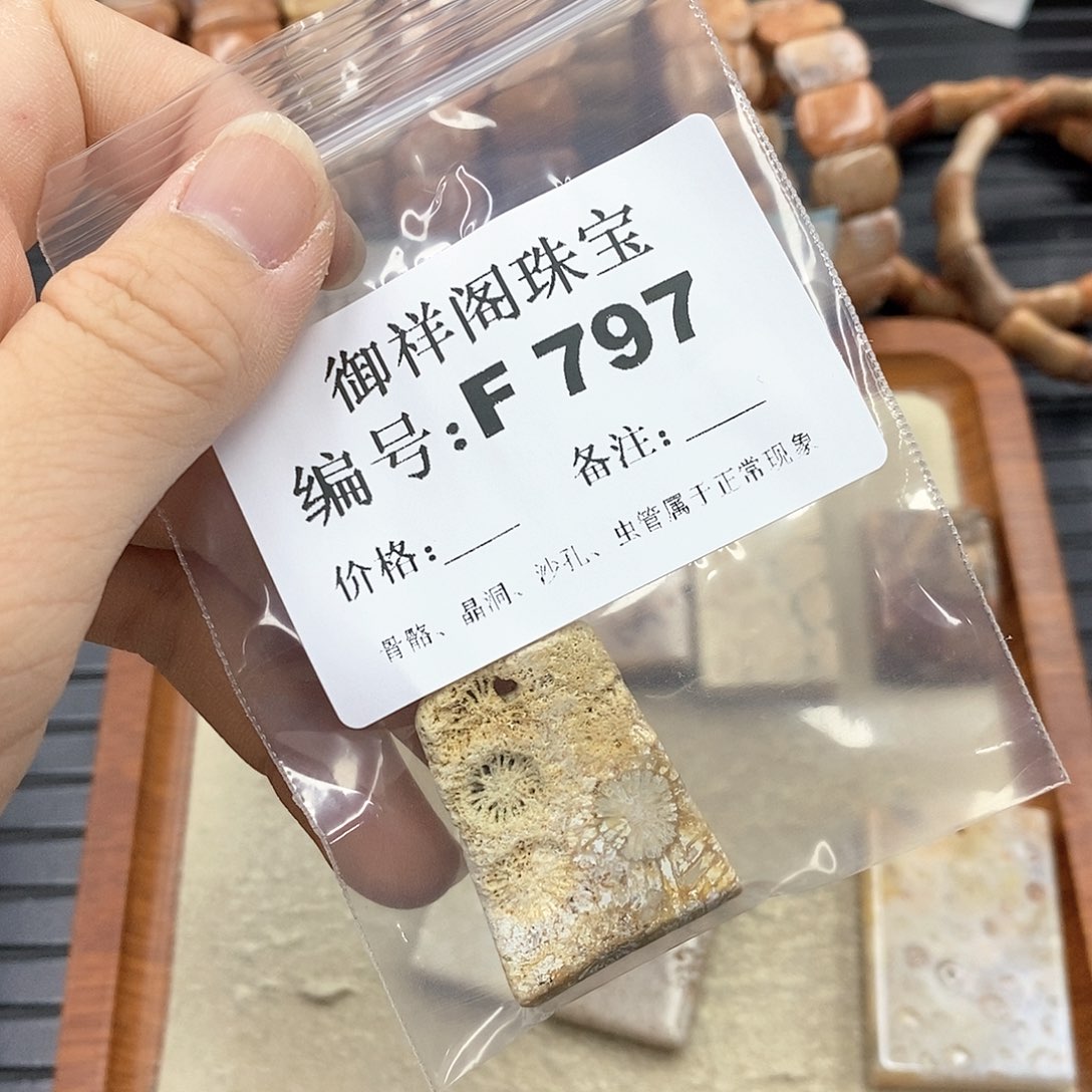 硅化珊瑚（珊瑚玉）F未镶嵌x*y