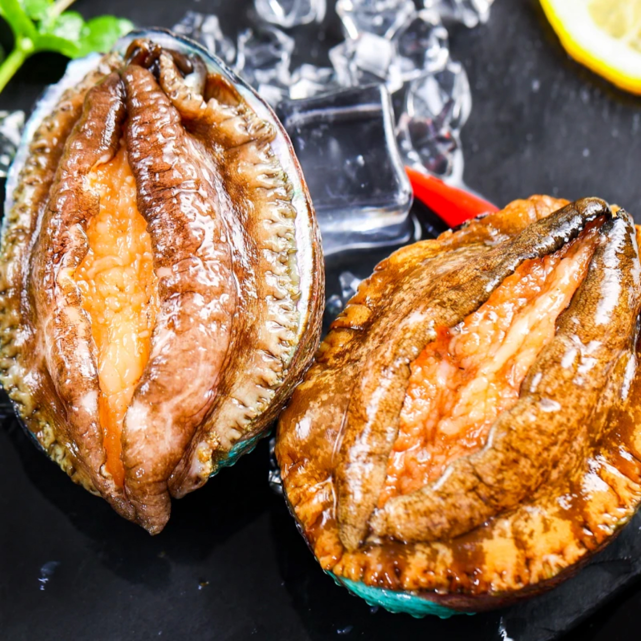 【鲜冻】九孔鲍鱼肉1头-2头鲍鱼手剥纯肉5颗约520克-540克之间每包
