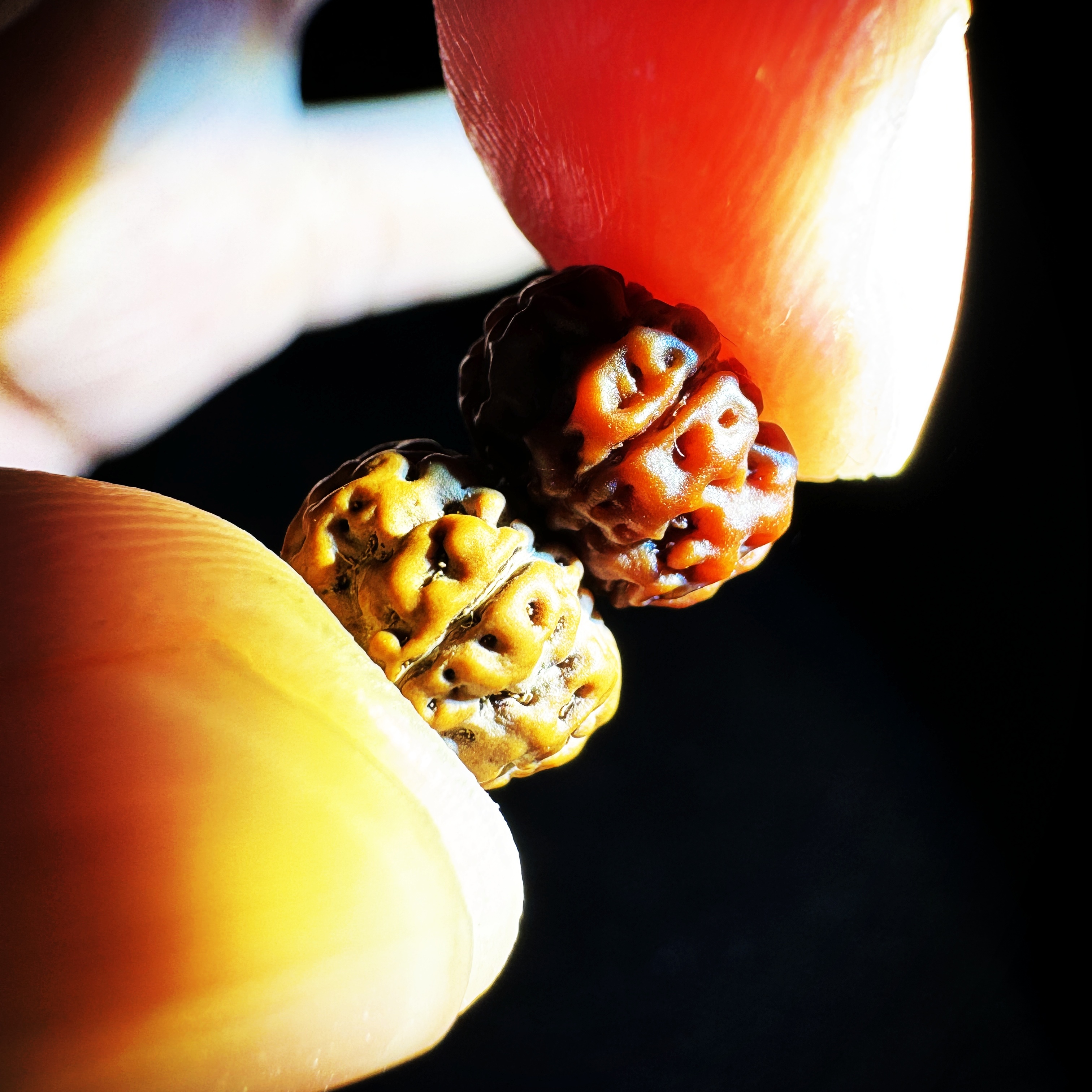 誉鑫YUXIN「平头细纹飞碟」原生态飞碟桩平头细纹小金刚菩提手串
