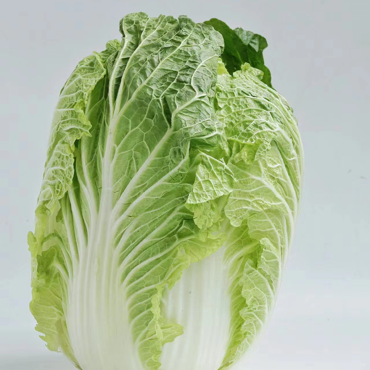 白菜