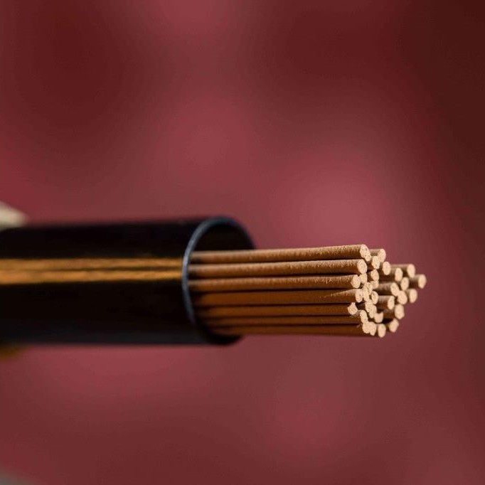 【国华艺雕】天然沉香 海南壹号 高端手工线香10g