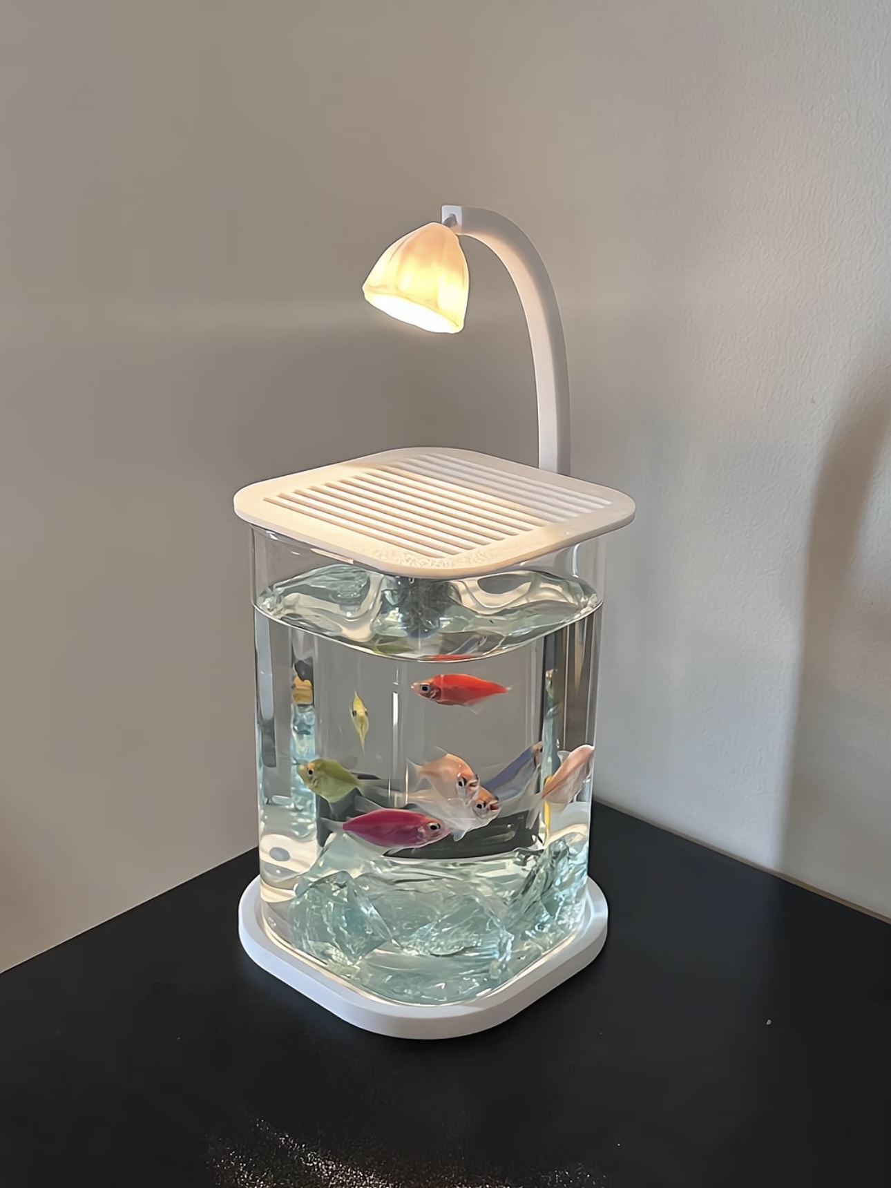 创意精品斗鱼专用缸高透玻璃缸办公室鱼缸简约高级感桌面造景鱼缸